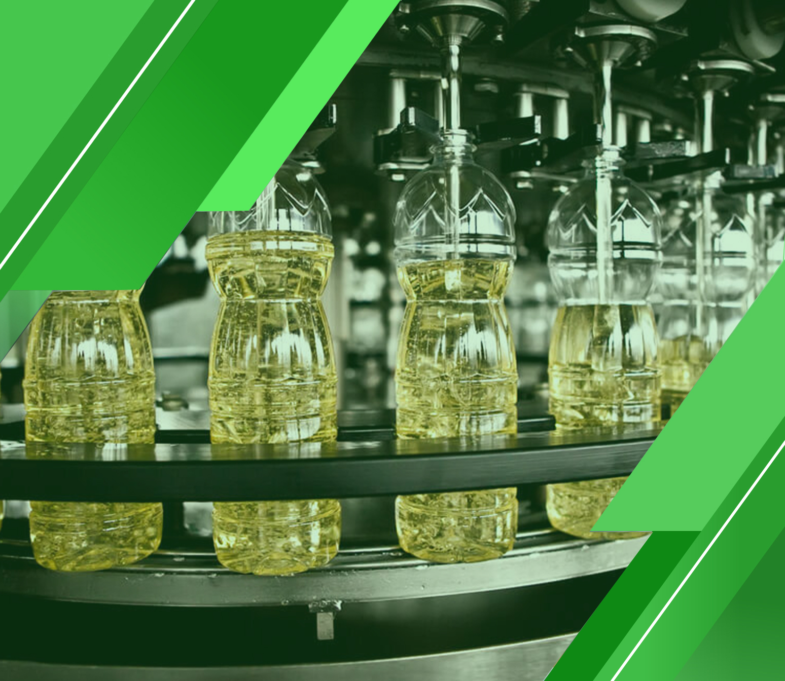 أهمية دراسة جدوى مصنع تعبئة زيت طعام