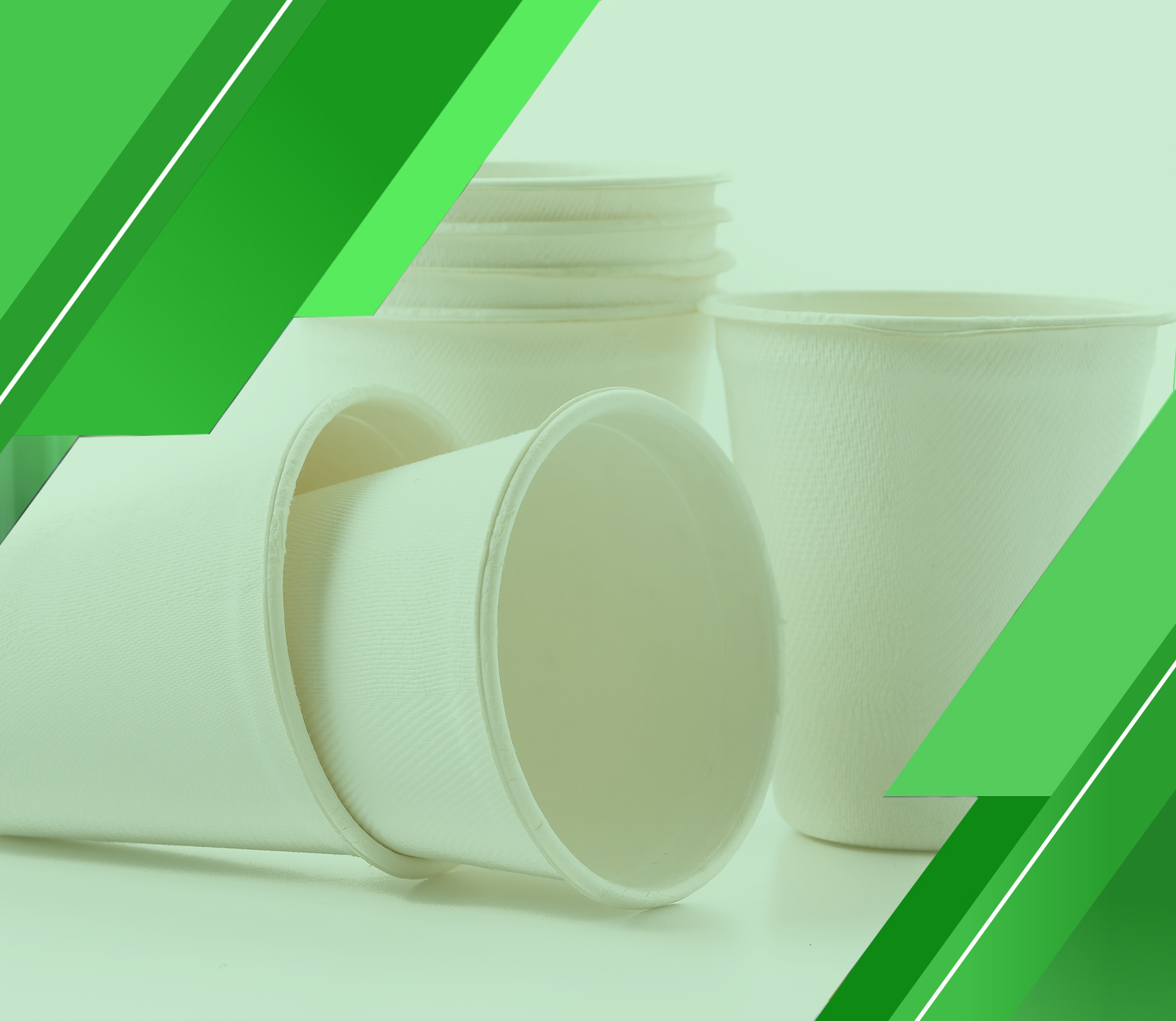 “مدى” هي الأفضل لطلب دراسة جدوى مصنع أكواب بلاستيك مُعدة بـ امتياز