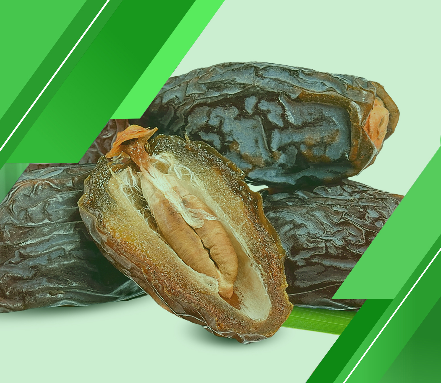 تعرف على القيود التي تعمل على حلها دراسة جدوى مشروع تمور الاحترافية