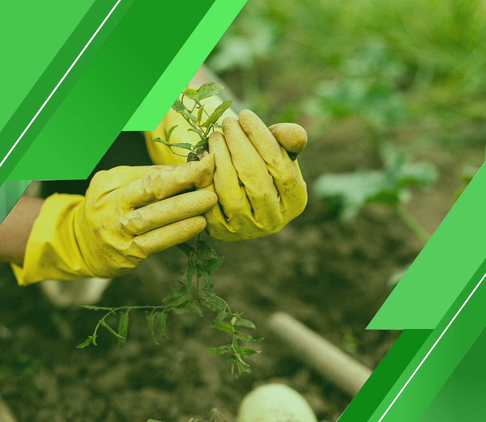 9 مبررات لإجراء دراسة جدوى مشروع زراعي متكامل لنجاح مشروعك