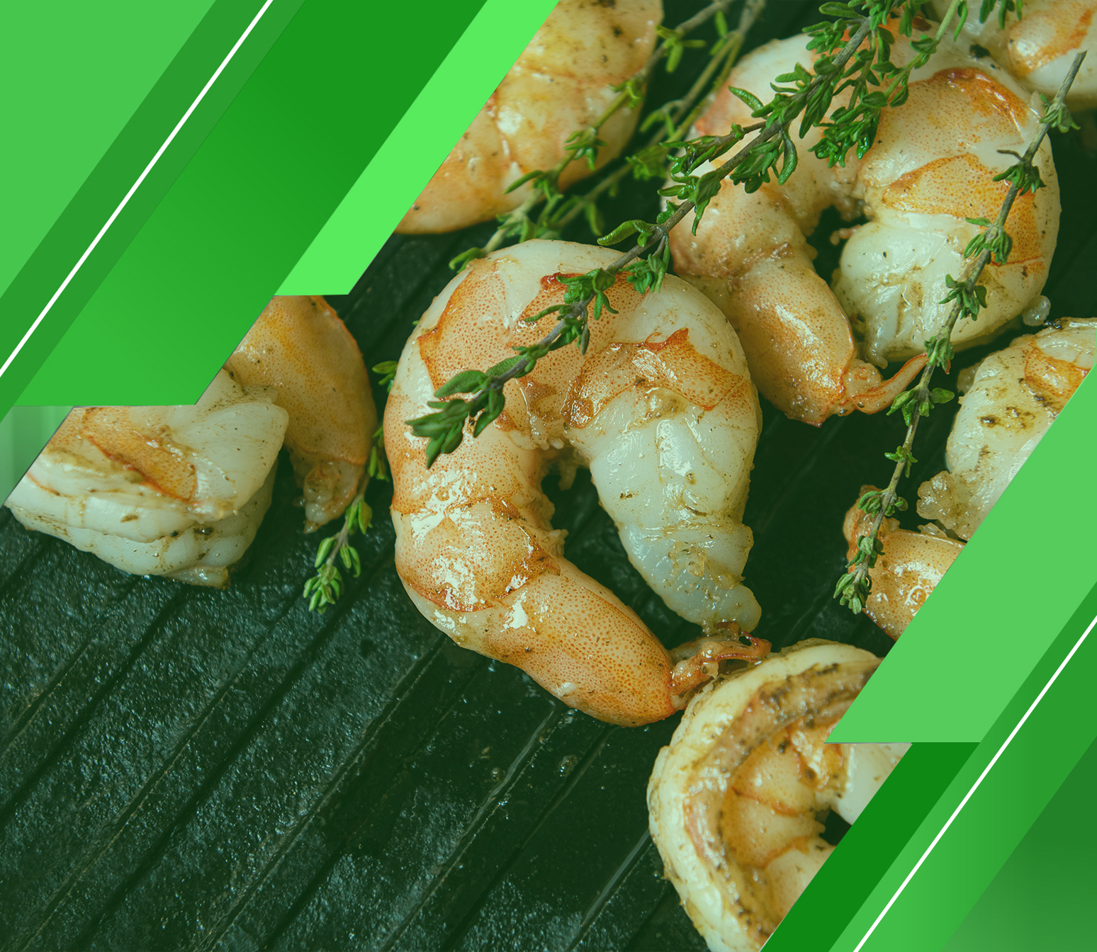 اطلب الآن دراسة جدوى مشروع مزرعة جمبري من ” مدى “