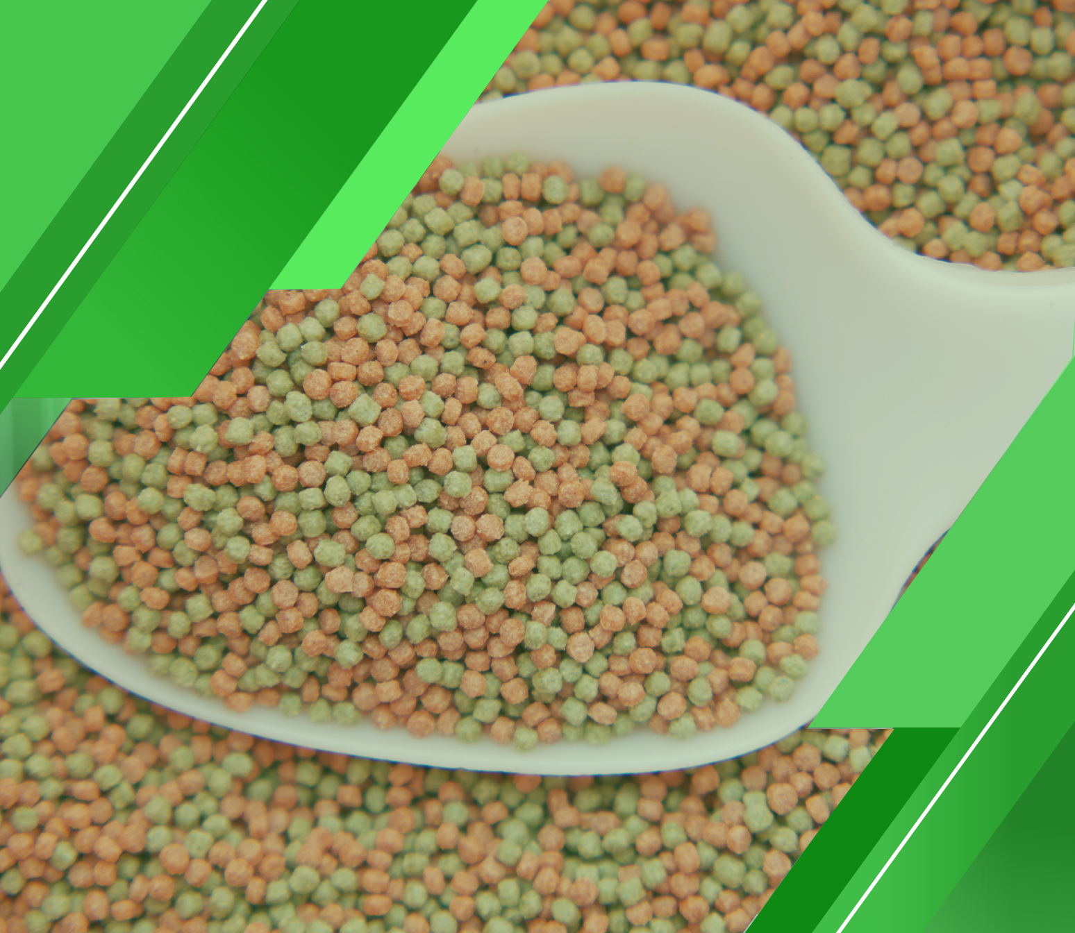 احصل على 10 مميزات عند إعداد دراسة جدوى مصنع أعلاف الأسماك