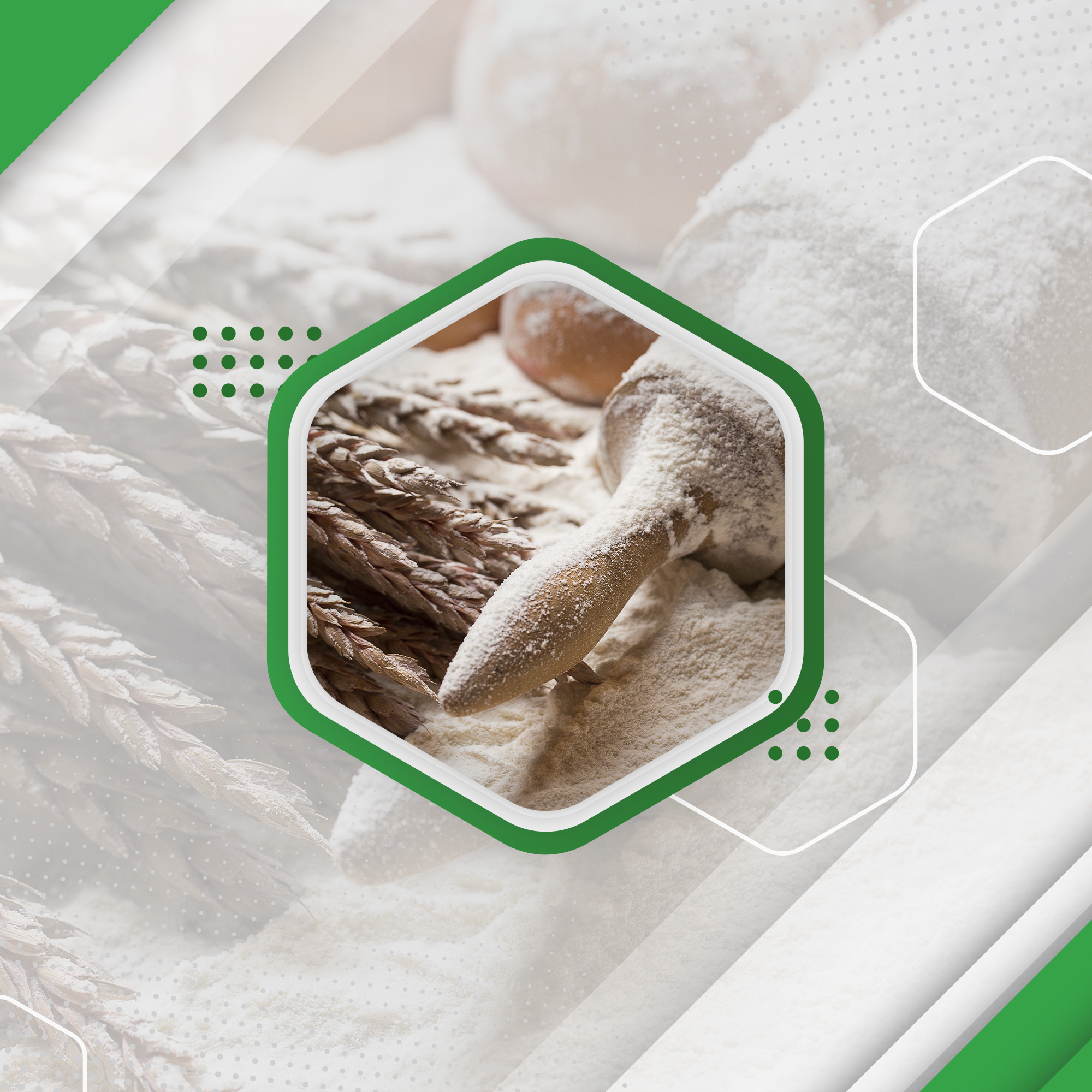 هل تحتاج إلى دراسة جدوى مصنع تعبئة الدقيق بشكل تفصيلي ؟ إليك دليلاً من “مدى”