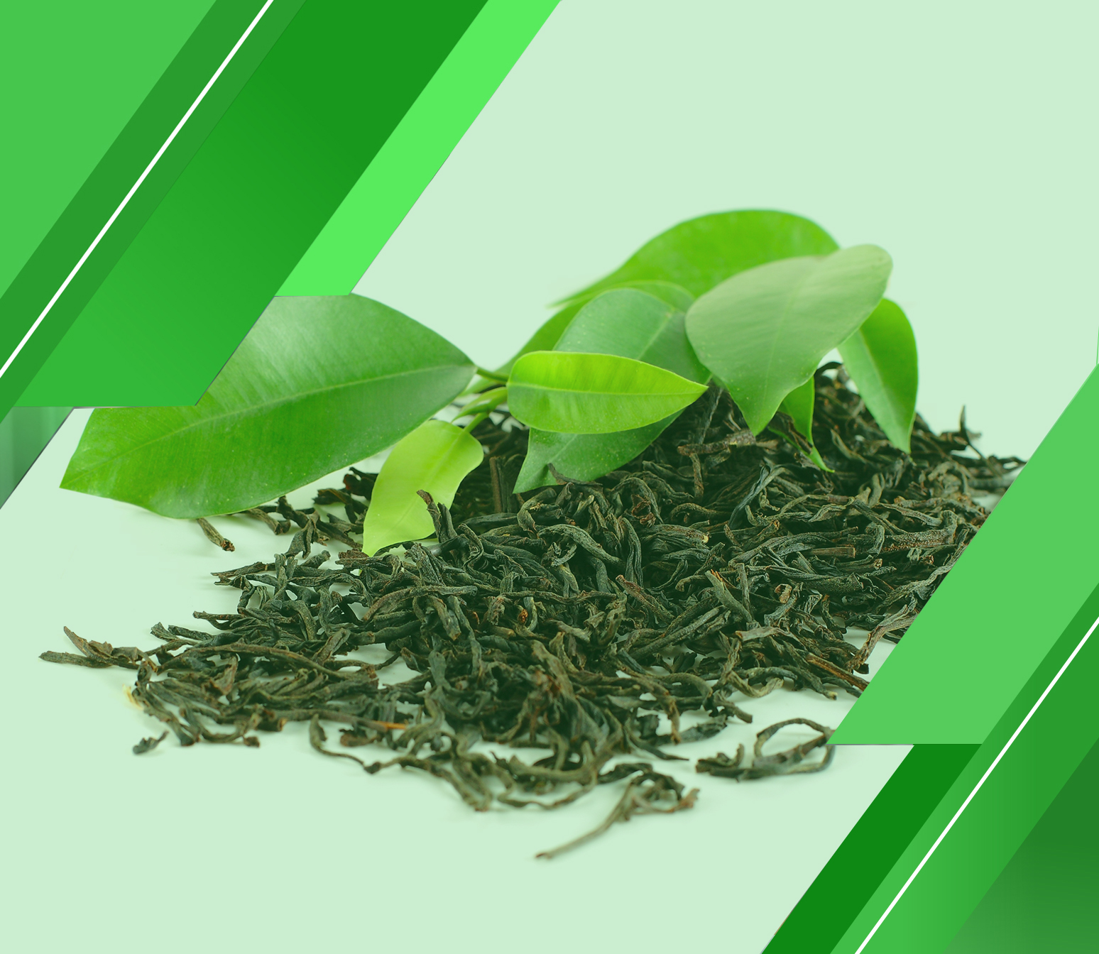 هل تحتاج إلى مساعدة لإعداد دراسة جدوى مصنع شاي لنجاح مشروعك؟