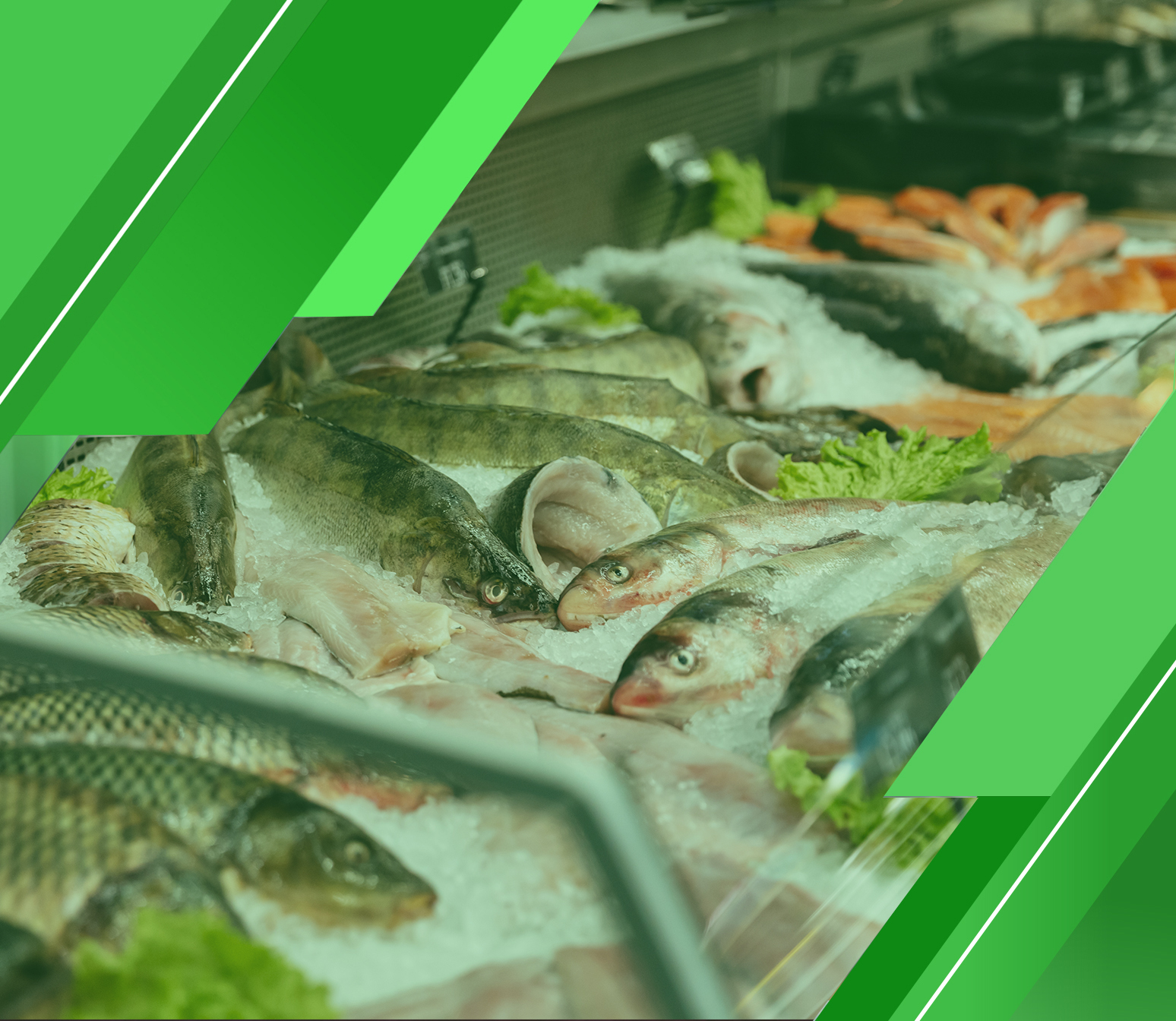 دراسة جدوى مطعم اسماك تفصيلية شاملة من “مدى”