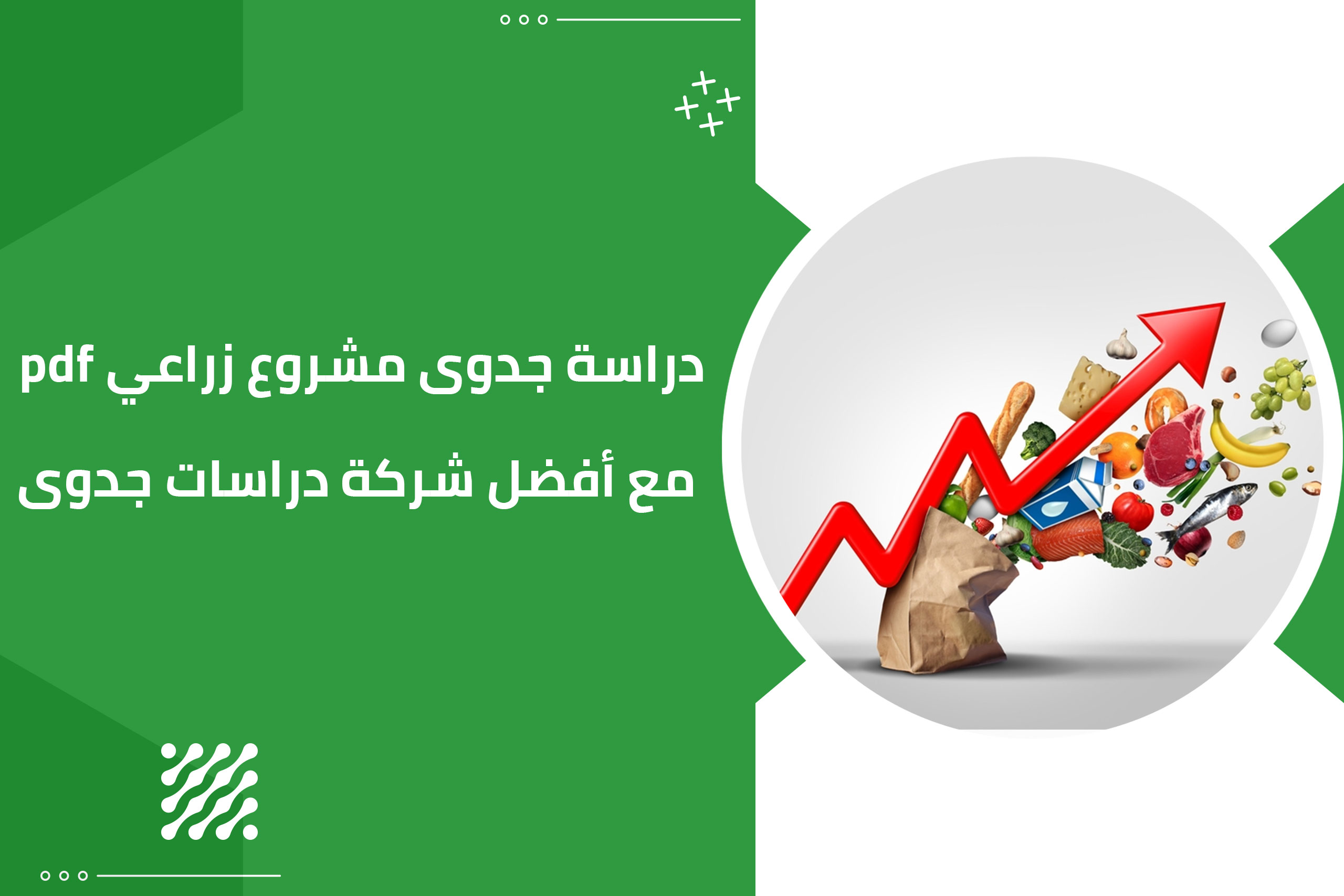 دراسة جدوى مشروع زراعي pdf مع أفضل شركة دراسات جدوى