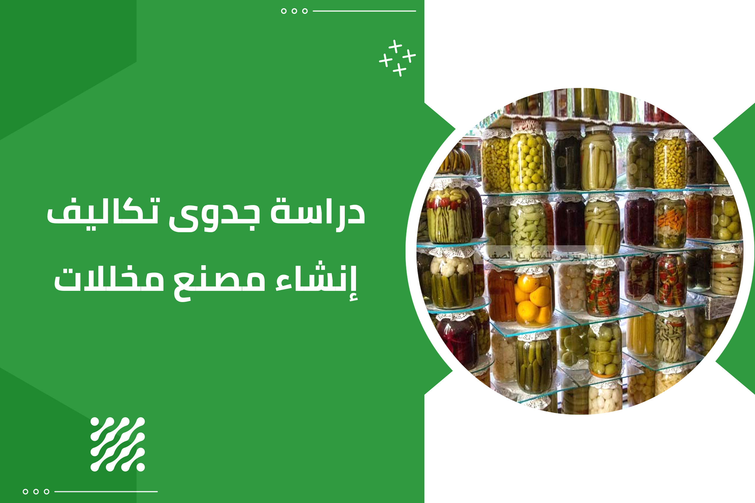 دراسة جدوى مصنع مخللات