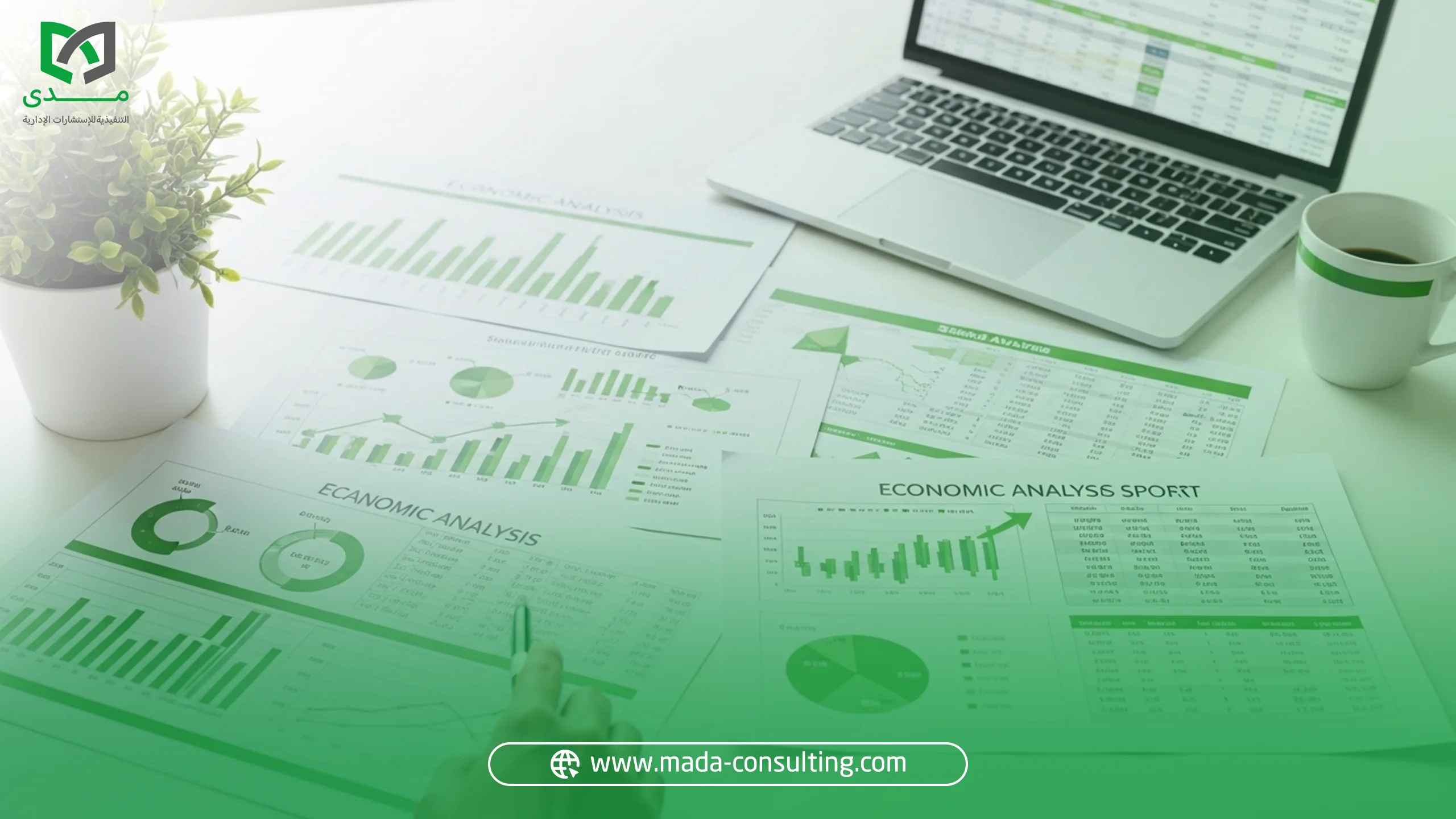 دراسة جدوى المشاريع الإستثمارية