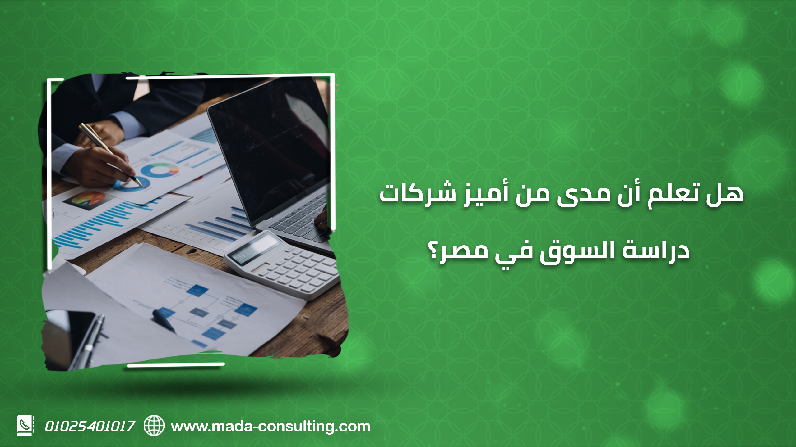 هل تعلم أن مدى من أميز شركات دراسة السوق في مصر؟