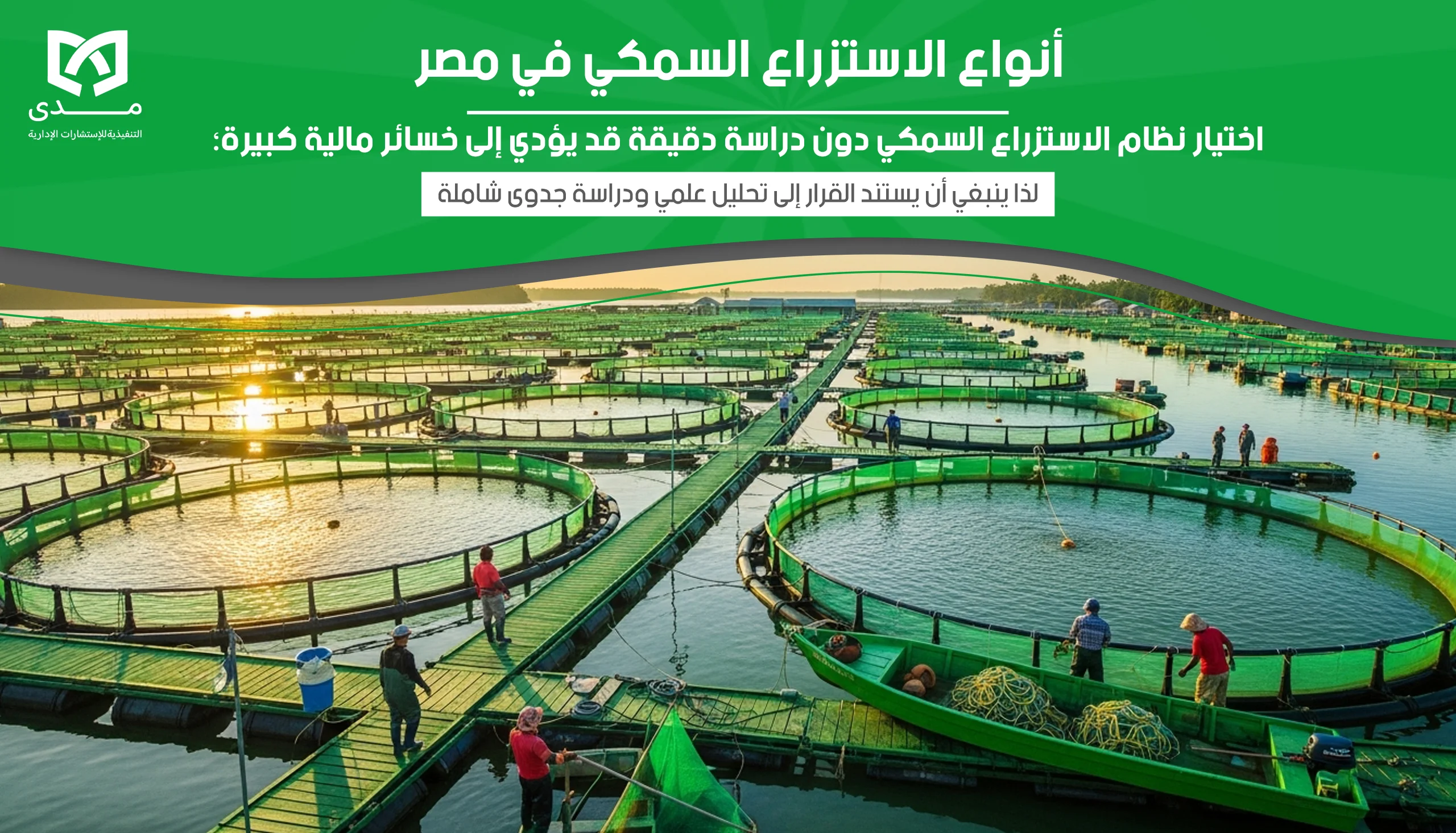 أنواع الاستزراع السمكي في مصر