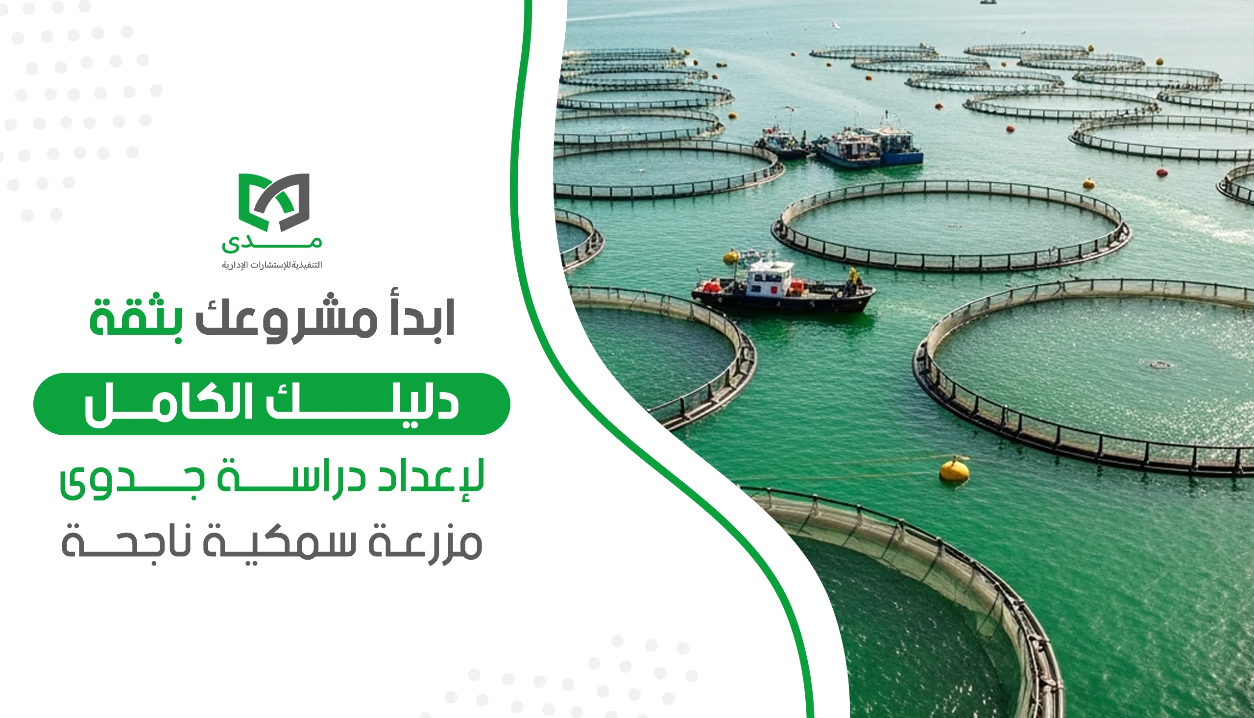 دليلك الكامل لإعداد دراسة جدوى مزرعة سمكية ناجحة
