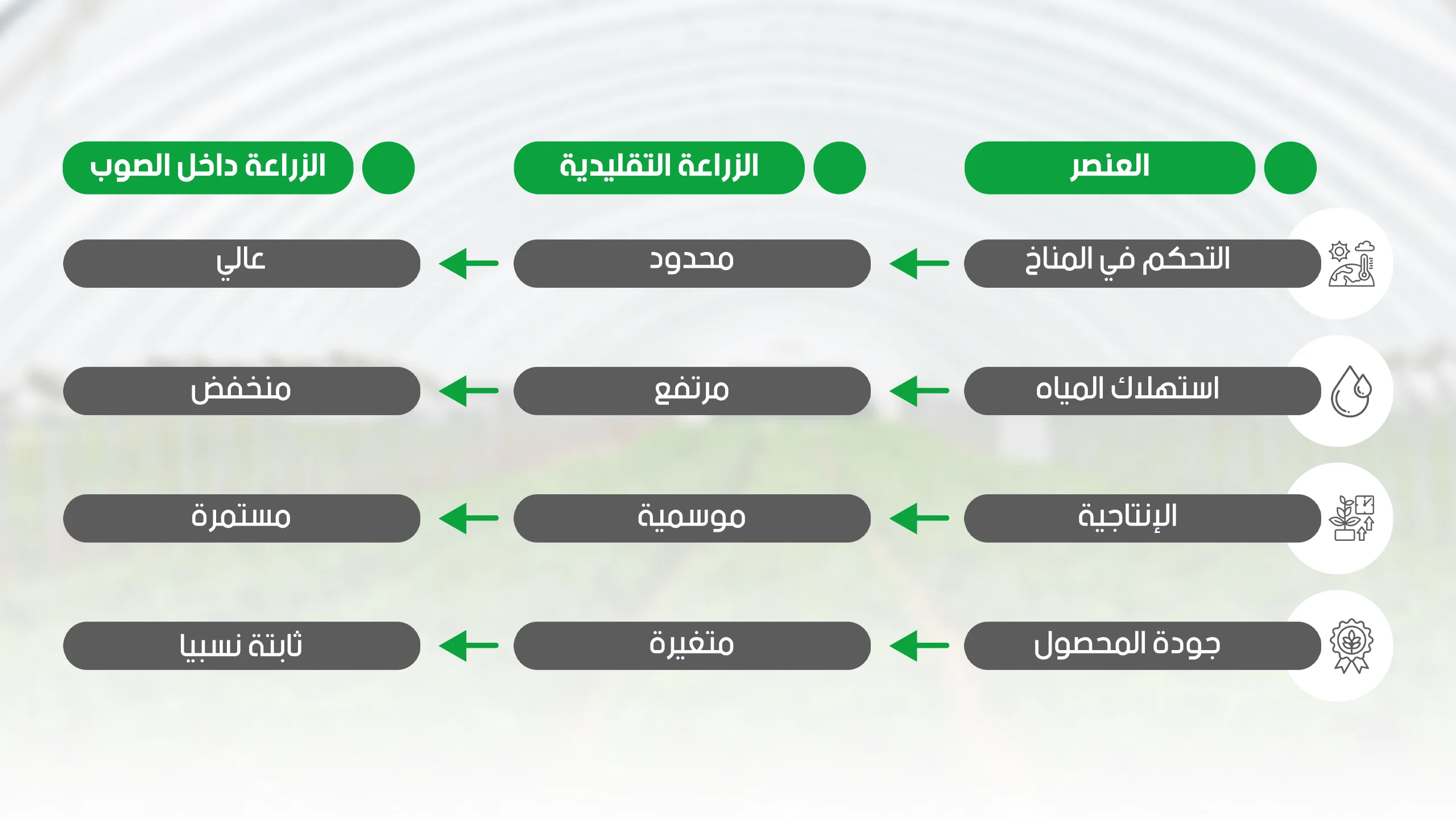 مقارنة بين الزراعة التقليدية والزراعة داخل الصوب