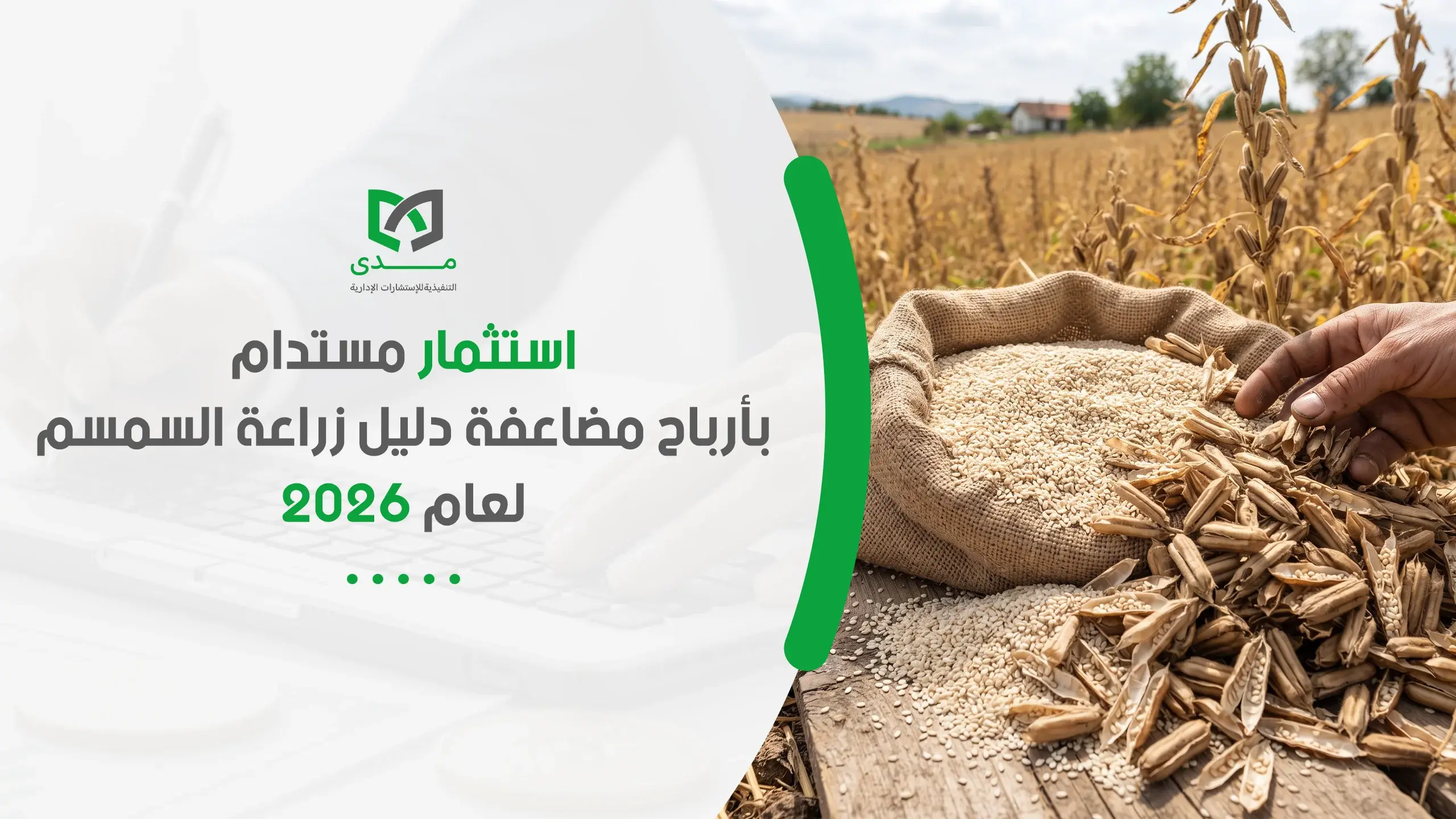 دراسة جدوى مشروع زراعة السمسم