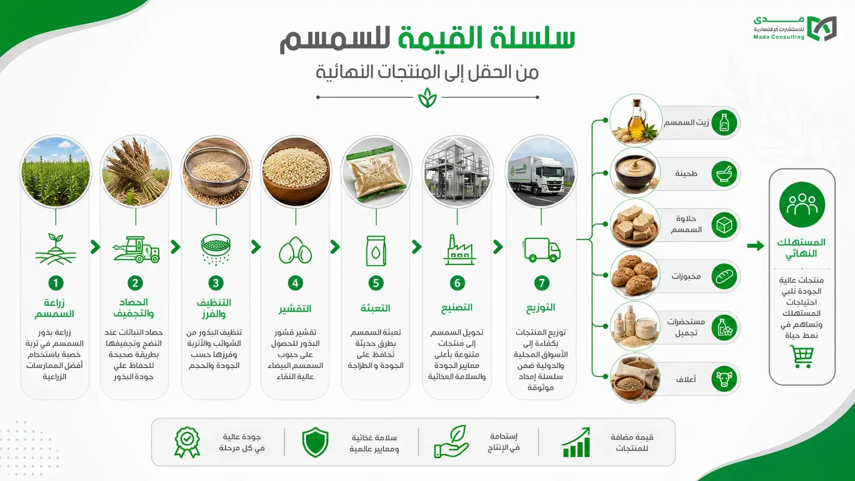 رحلة السمسم من الزراعة إلى التصدير